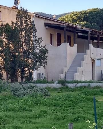 Appartamento U Palmu Sagone  Esterno foto