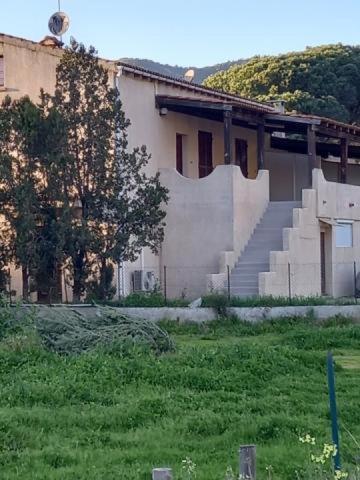 Appartamento U Palmu Sagone  Esterno foto